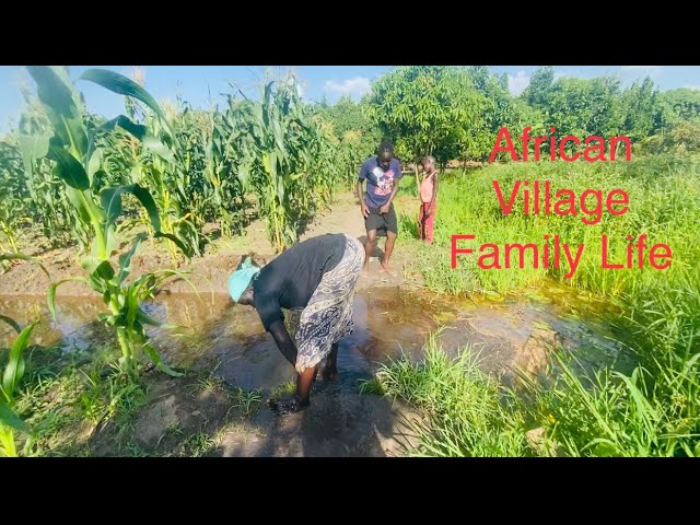 Typical African Village Family Life