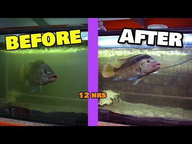 Aquarium Polishing filter - DIY vs Fluval FX2