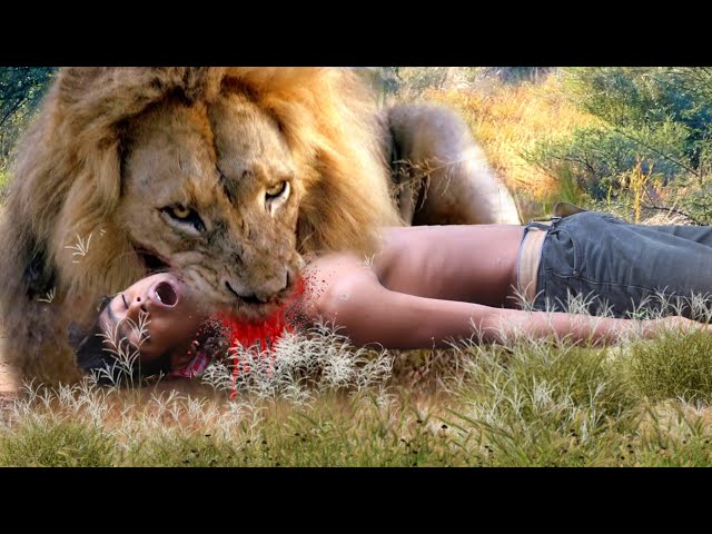 Lion Attack Man in Forest | Lion Attack Hunter | Lion Attack Stories Part - 80