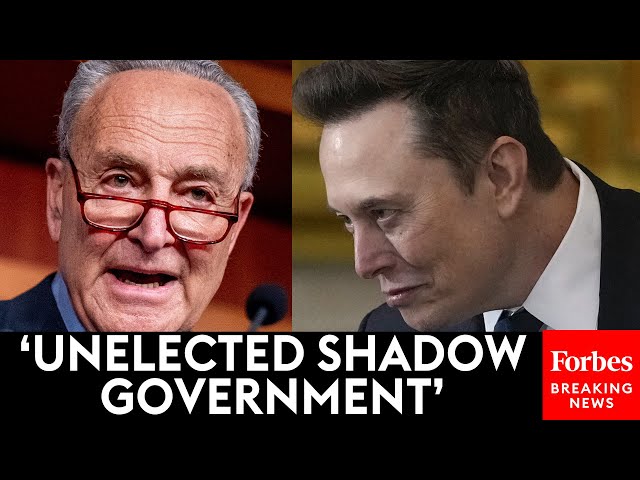 BREAKING NEWS: Top Senate Democrats Take Aim At DOGE, Accuse Musk Of Running 'Shadow Government'