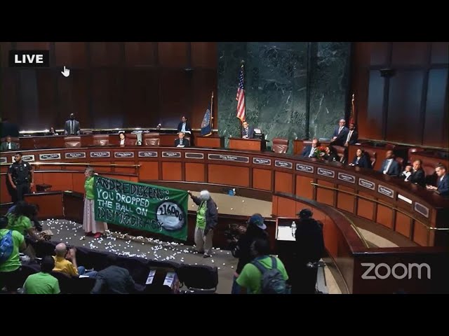 Ping pong balls thrown during protest in Atlanta City Council meeting