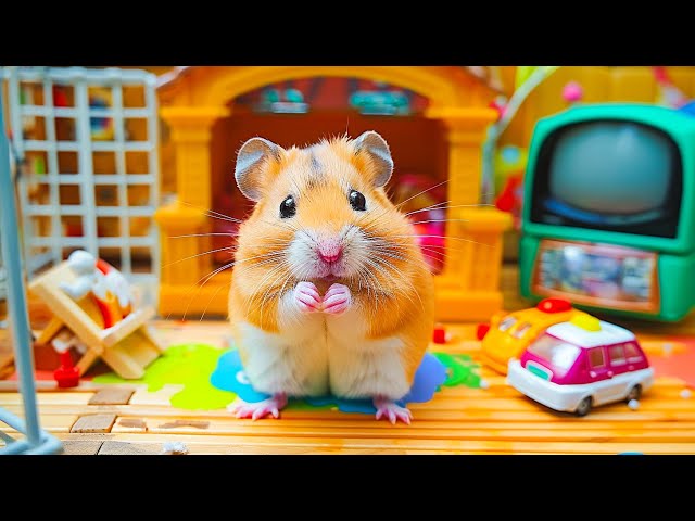 🛑 Hamster Escapes the Underground Prison Maze in Real Life 🐹 Hamster Life