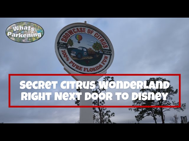 Secret Citrus Wonderland Right Next Door to Disney