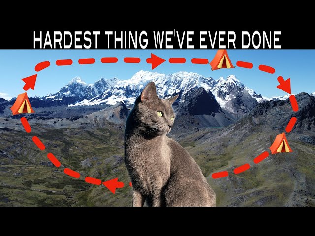 ARE WE CRAZY? High Altitude 4 Day Trek WITH CAT AND DOG in Peru #vanlife #roadtrip