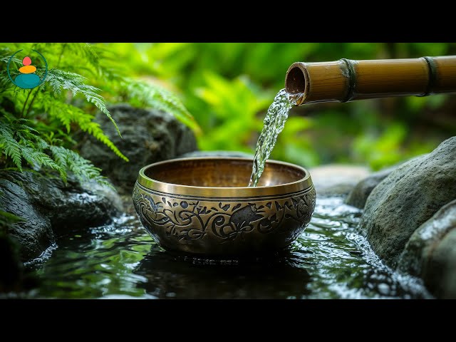 Water Sound Healing Mental Stress: Sound Therapy For Meditation, Yoga, Calming The Mind