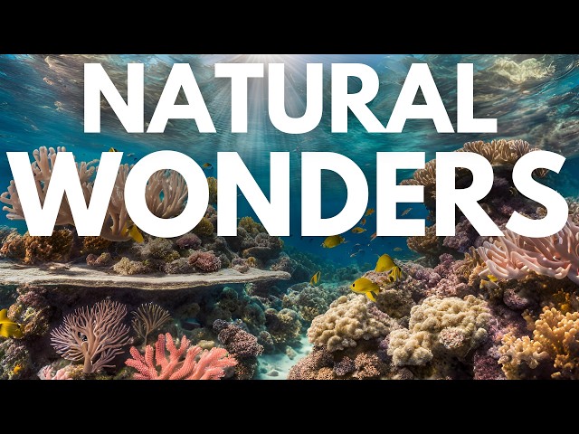 🌊  Natural Wonders of Planet Earth 🐠 The Most Amazing Places in the World ⛰️ Travel Video