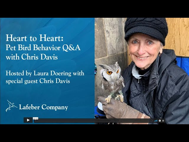 Heart to Heart, Episode 3: Pet Bird Behavior with Chris Davis