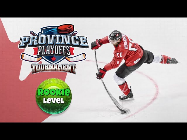 Province Playoffs ROOKIE Guide!