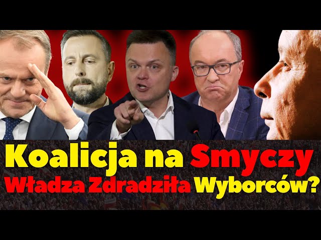 Koalicja na smyczy: Czy władza zdradziła wyborców? Dorota Łaboda