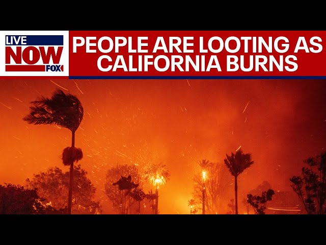 California fires: 20 people arrested for looting at destroyed homes looking for jewelry and diamonds