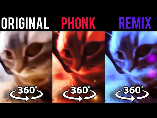 360º VR Chipi Chipi Chapa Chapa Original vs Phonk vs Remix