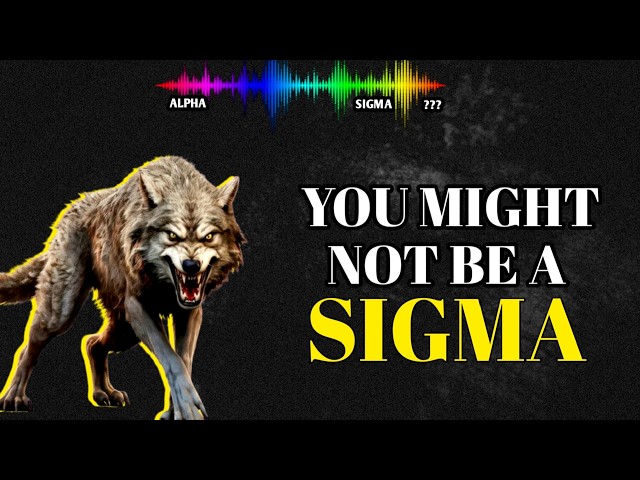 10 signs you're more RARE THAN JUST A SIGMA