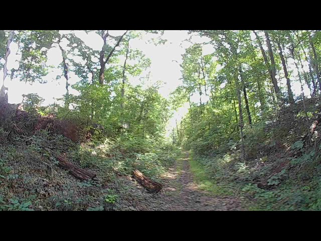 A 3D VR Hike in Accontik Stream Valley Park, Fall 2017