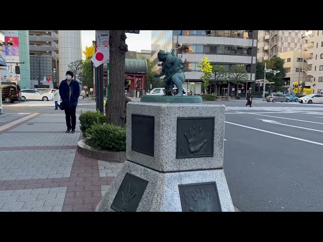 Copywrite Free HD B-Roll of Ryogoku, Tokyo in Autumn | Sumo Culture, Fall Colors & Serenity