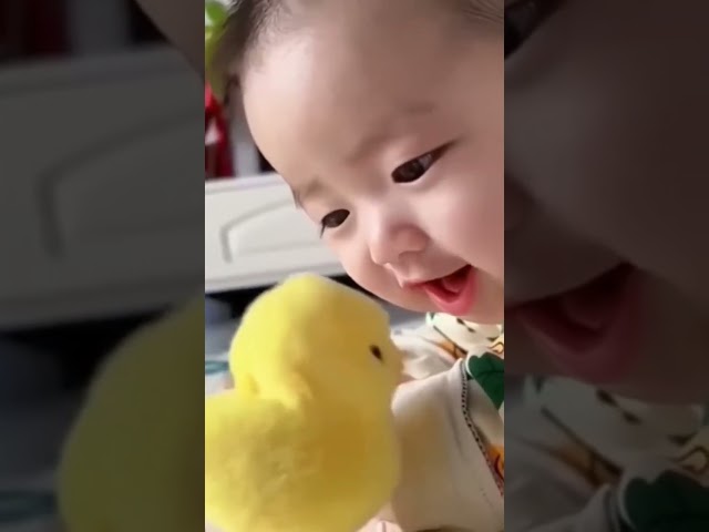 Oh, Cutest Babies and Chicks 👶🐣: Adorable Moments!#CutestBabies #BabyChicks #AdorableBabies