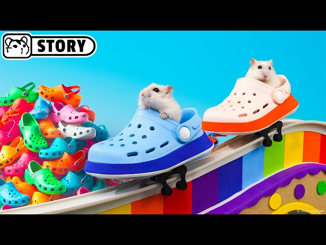 Hamsters in the Crocs Shoe Factory Maze 🐹 Homura Ham