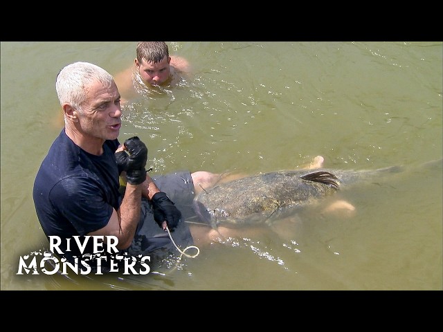 Jeremy Wade Tries Noodling and Catches a HUGE Catfish Bare-Handed | River Monsters