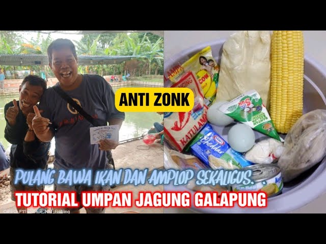 UMPAN JAGUNG UNTUK BABON DAN  IKAN RAME BUAT GALAPUNG || PULANG BAWA IKAN DAN AMPLOP SEKALIGUS....