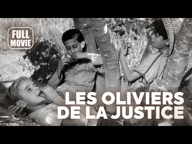 🎥️ Drama Movie: Les oliviers de la justice (1962) French Full Movie | Watch Boldly!