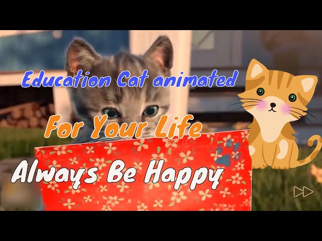 Cute Cats Animated Educational Cartoon Movies for Kids - pet lover like you