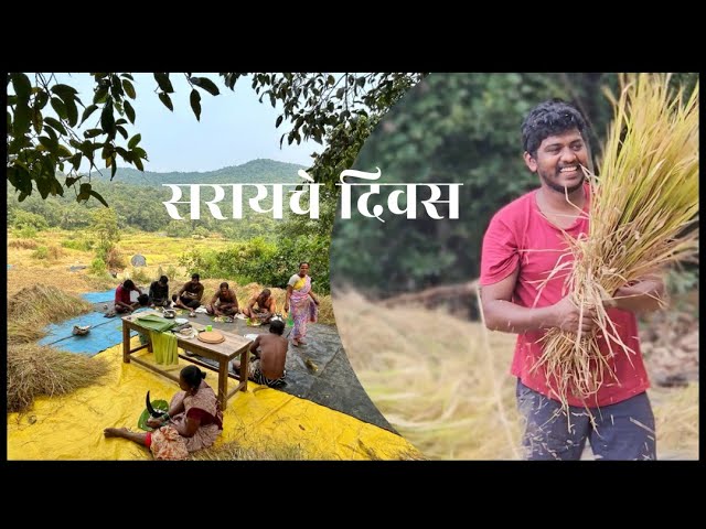 मी slow living कसं  सुरु केलं ? | EP 1 कापणीचे दिवस