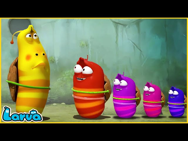 LARVA | Red And Yellow | CARTOON MOVIE FOR LIFE |THE BEST OF CARTOON | HILARIOUS CARTOON COMPILATION