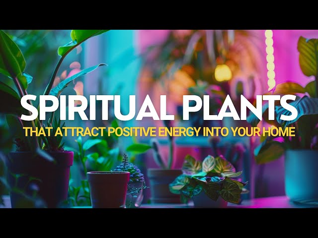 Botanist Shares Top 10 Spiritual Plants to Attract Positive Energy into Your Home