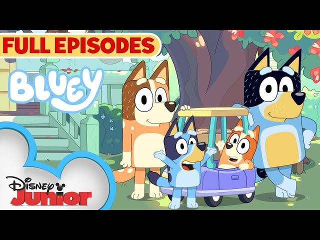 Bluey Full Episodes! | Keepy Uppy, Sleepytime, Bus and MORE! | 2 HOUR Compilation | @disneyjr