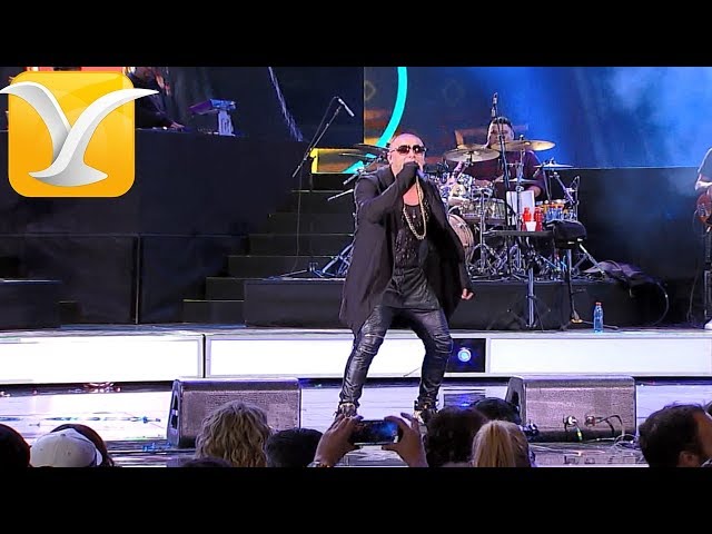 Wisin - Mayor que yo/ Noche de entierro - Festival de Viña del Mar 2016 HD 1080P