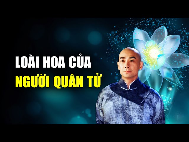 Hoa Sen Tịnh Đế: Loài hoa gắn bó với người quân tử | Tinh Hoa TV