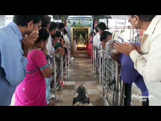 SwetharkaMula Ganapathi's broadcast