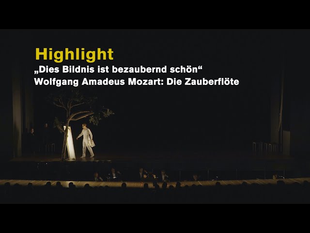 Wolfgang Amadeus Mozart DIE ZAUBERFLÖTE "Dies Bildnis ist bezaubernd schön" (Highlights)