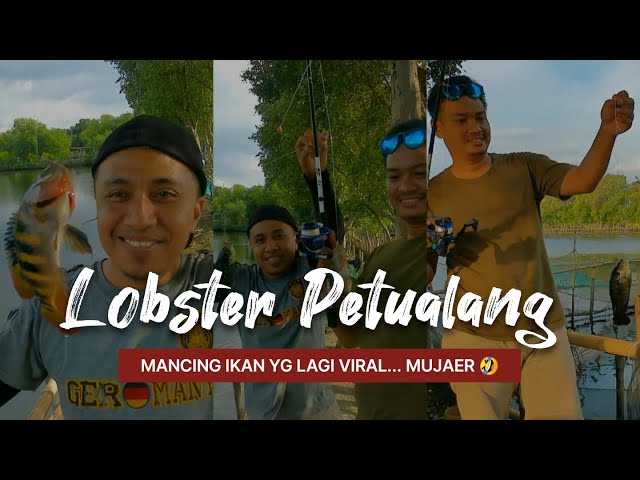 Mancing ikan yang lagi viral... Mujaer🤣🤣🙏