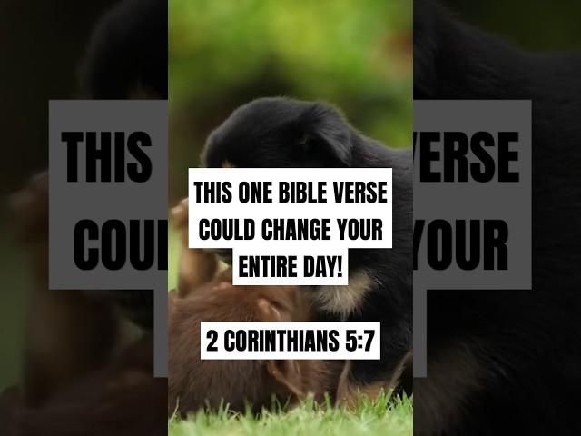 This ONE Bible Verse Could Change Your Entire  Day! [2 Corinthians 5:7] #shorts #bible #jesus