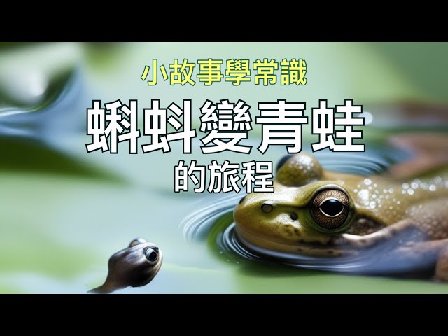 📚 蝌蚪變青蛙的旅程 📚 幼兒故事｜小常識｜故事時間｜睡前故事