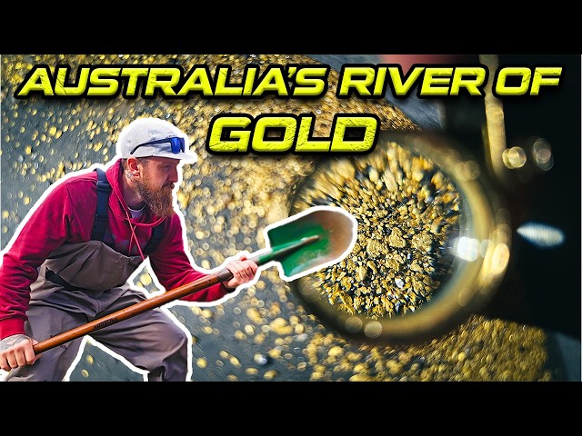 Reedy Creek is Australia's River of Gold! | Family-friendly Gold Hunting Trips