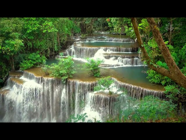 Cascading Waterfall and Gentle Stream | 10 Hours of Flowing Water Sounds for Sleep