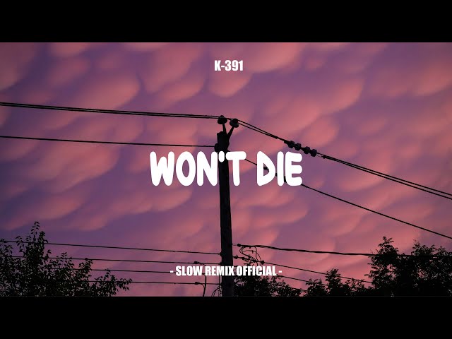 Dj Slow Remix! Won't Die Mashup Remix ( Slow Remix Official )