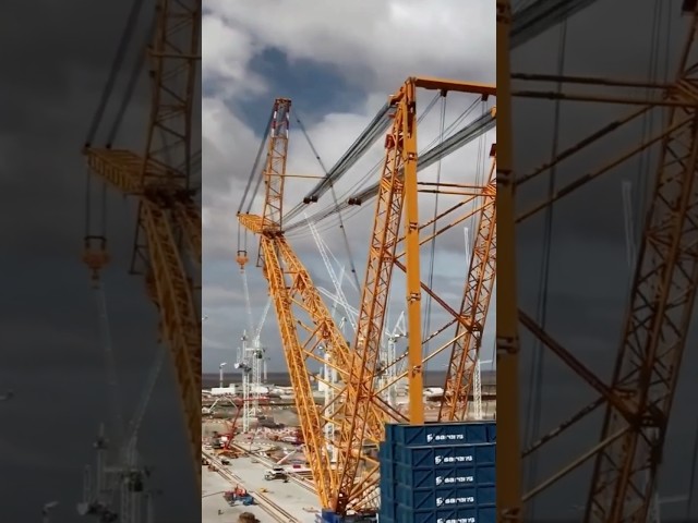 Top 5 Huge Cranes in the World: Giants Who Lift the Impossible! 🏗️💪 #shorts