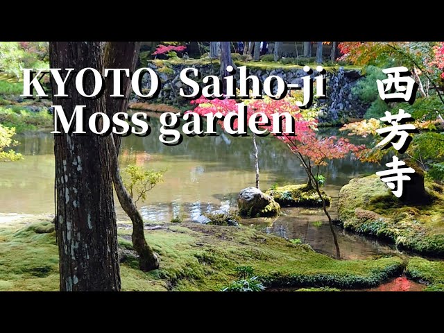 Japan KYOTO Saihoji Temple "Japanese garden of moss" 京都観光 西芳寺(苔寺) "苔の庭園"