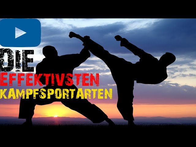 Die 10 Effektivsten Kampfsportarten -BrosTV