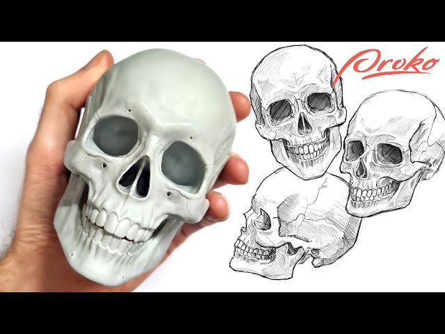 Proko Anatomical skull review, unboxing & demo. Andrew Loomis proportions.