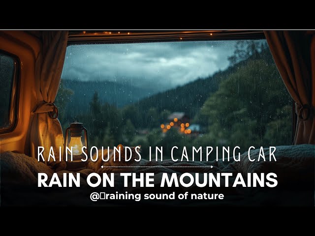 Softy Raining while Sleeping under Camping Tent in The Forest | #livestream #rainsounds #sleep