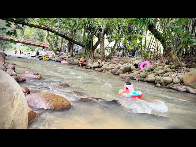 Short Vacation To Janda Baik & Bukit Tinggi, Pahang, Malaysia  #5