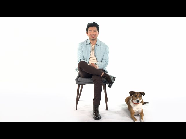 Simu Liu + HSI’s work to help dogs around the world!