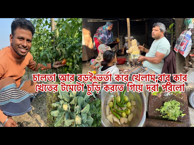 ননদ আর ভাবি মিলে চালতা বড়ই ভর্তা করে খেলাম,বাবু কার খেতের টমেটো চুড়ি করতে গিয়ে দরা পরলো🤣Mim&babu