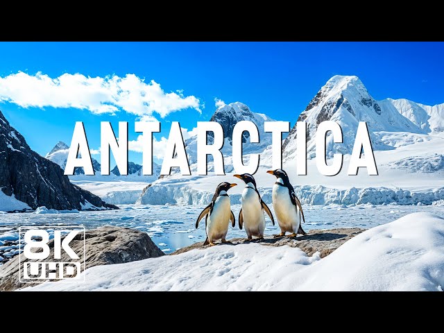 Antarctica 8K - Majestic Icebergs, Penguins and Arctic Silence