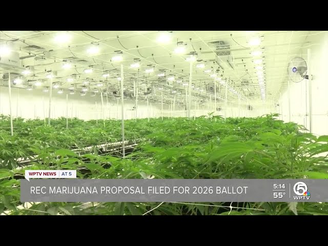 Paperwork filed to get recreational weed back on ballot in Florida