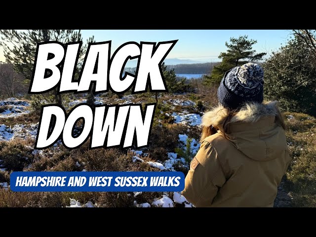 Walks in Sussex - Exploring Blackdown Hill