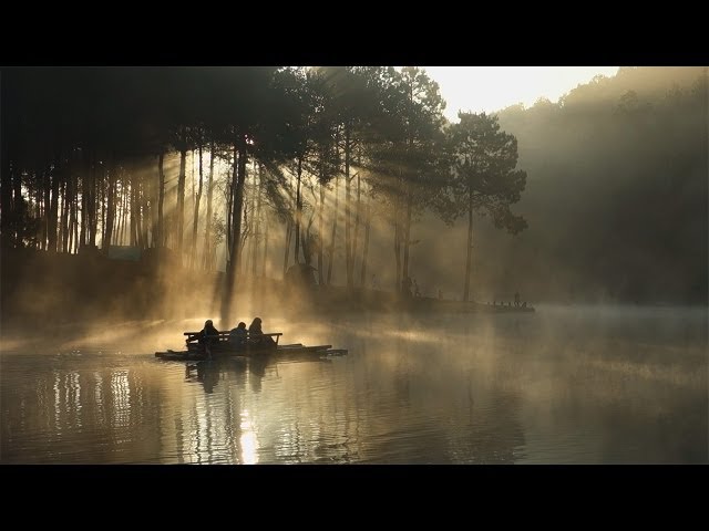 Misty Morning at Pang Ung (ปางอุ๋ง)